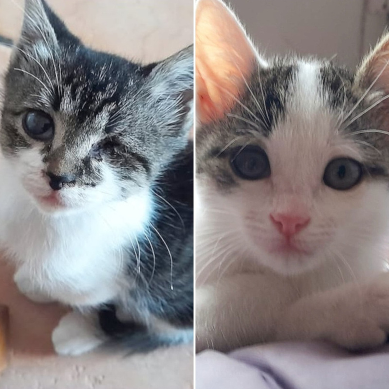 Michelle e Gabrielle, in cerca di adozione tramite Associazione Le Sfigatte