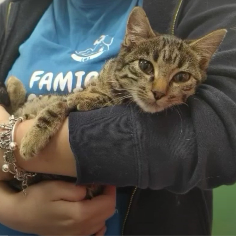 Un seme per ogni giorno di rinascita: una sola possibilità per Teddy - Associazione Le Sfigatte