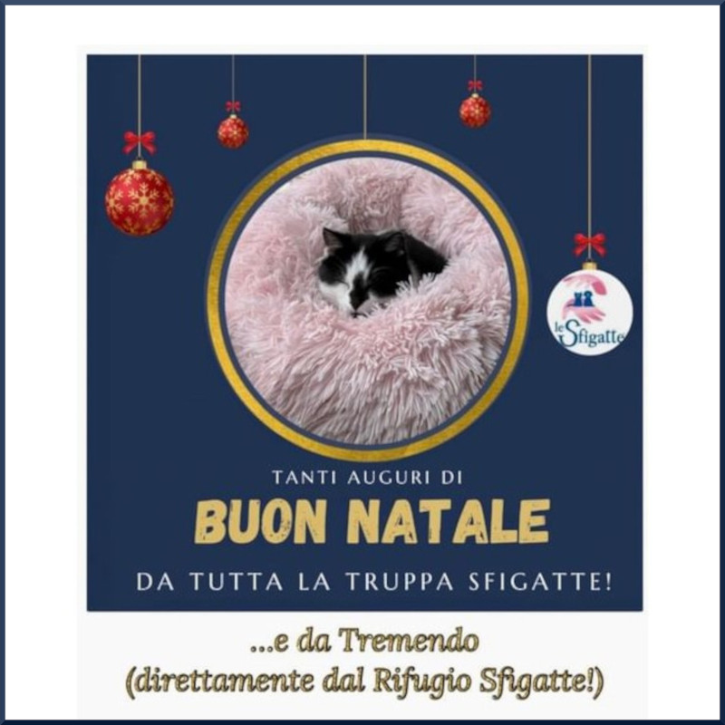 Tanti auguri di Buon Natale da tutta la truppa Sfigatte! - Associazione Le Sfigatte