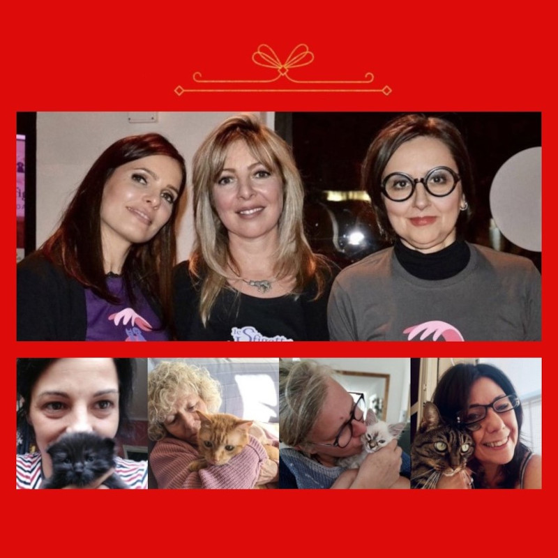 Messaggio a chat unificate del Presidente Mattabettella e Consiglio Direttivo - Associazione Le Sfigatte