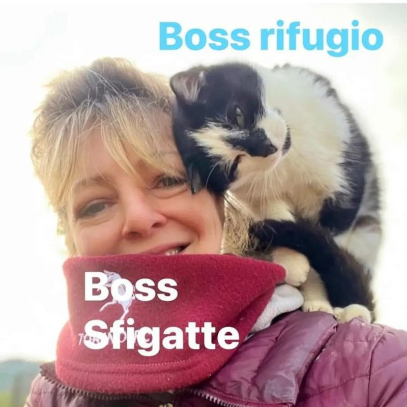 Lavori in corso nel nostro rifugio Sfigatte! - Associazione Le Sfigatte