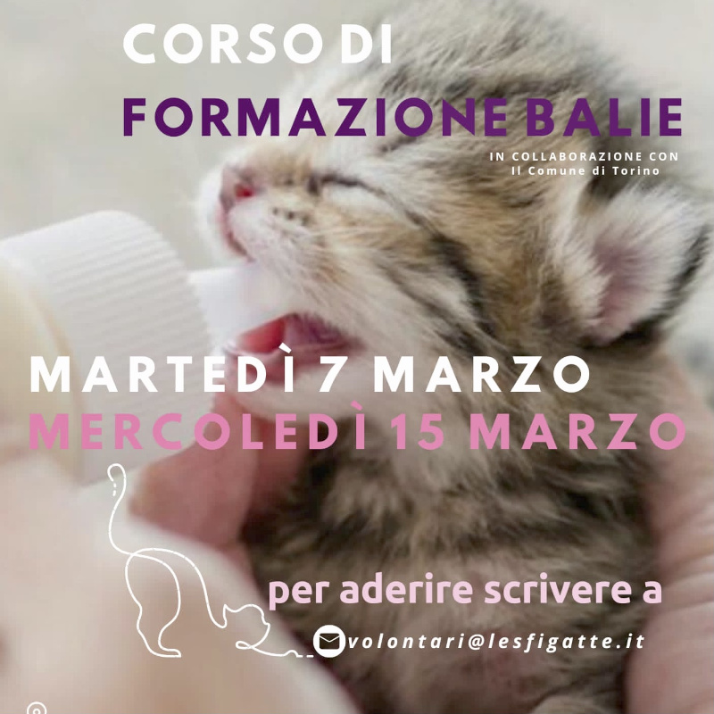 Corso per balìe - Associazione Le Sfigatte