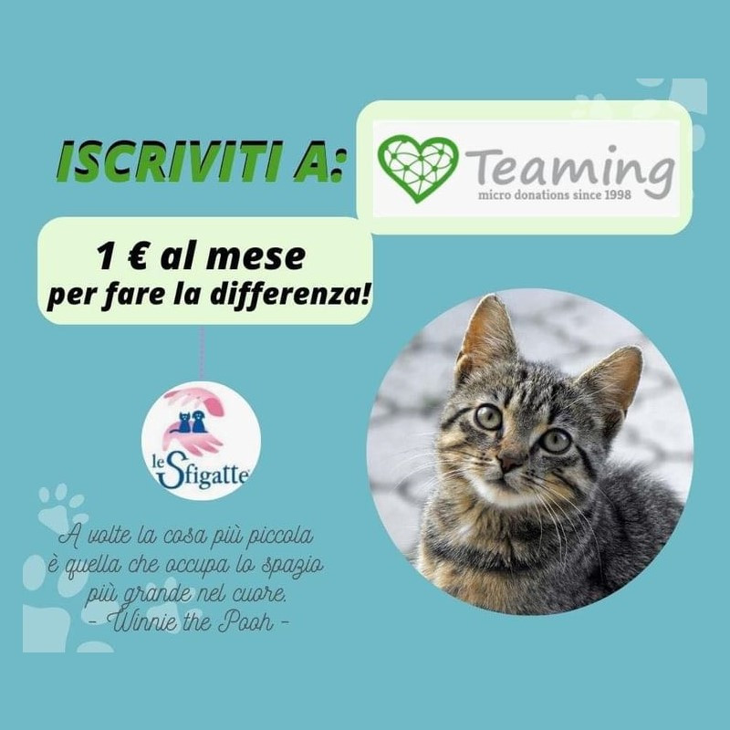 Per chi si fosse perso la novità: ci trovate finalmente anche su Teaming! - Associazione Le Sfigatte