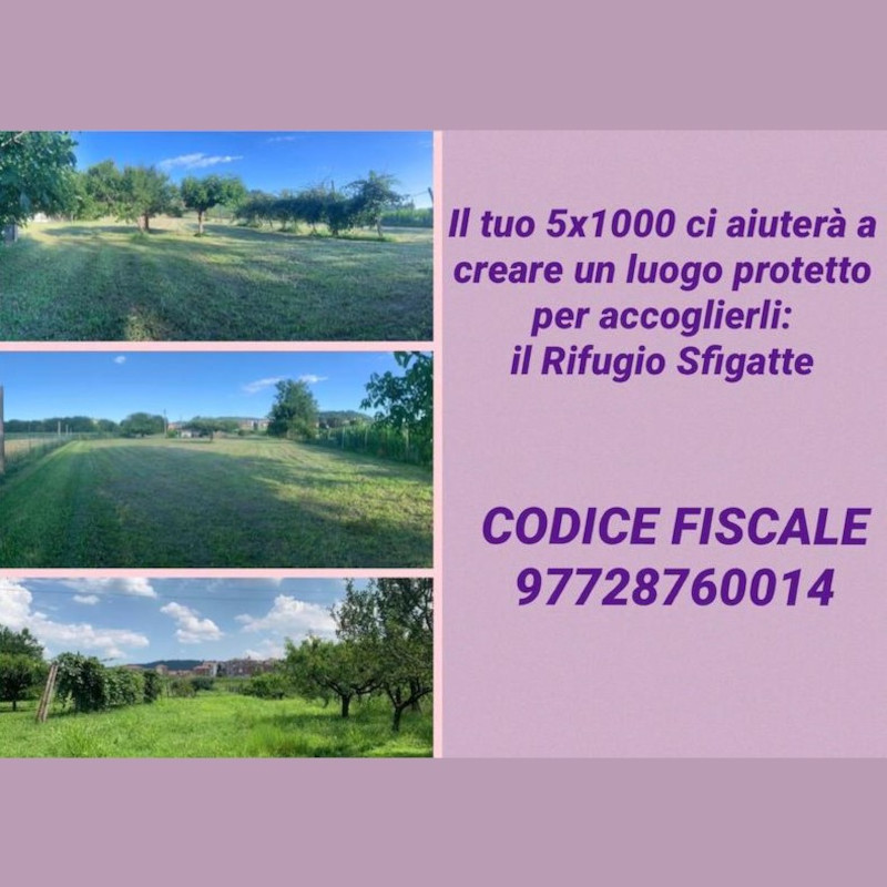 5x1000 per il Rifugio Le Sfigatte! CF: 97728760014 - Associazione Le Sfigatte