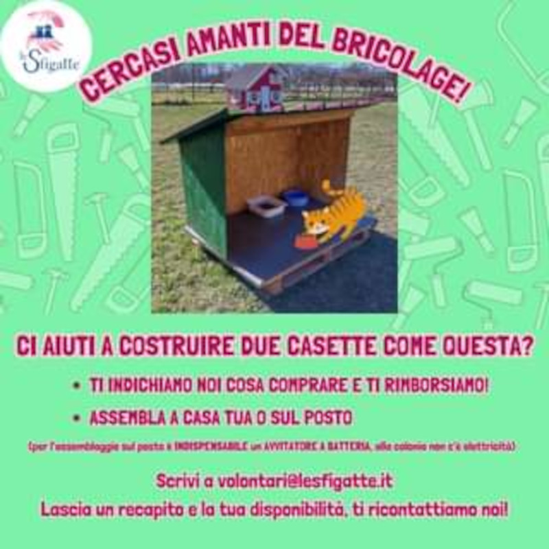 Ehi-ho, Ehi-ho, andiamo a costruir - Associazione Le Sfigatte