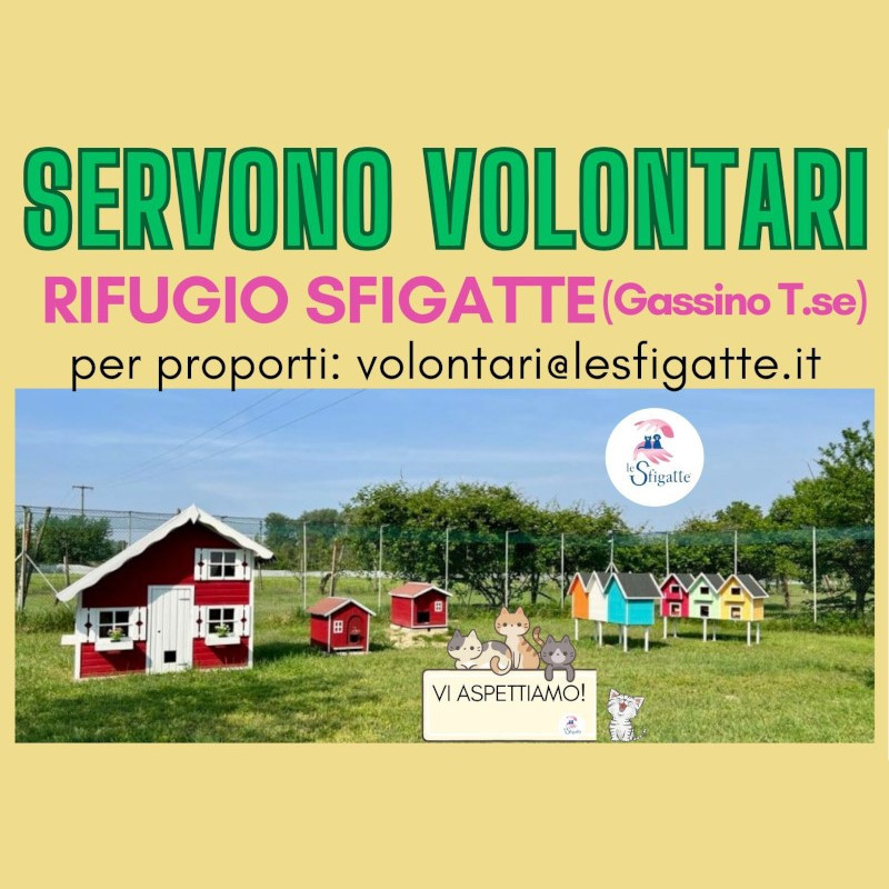 Cercasi volontari per il nostro rifugio - Associazione Le Sfigatte