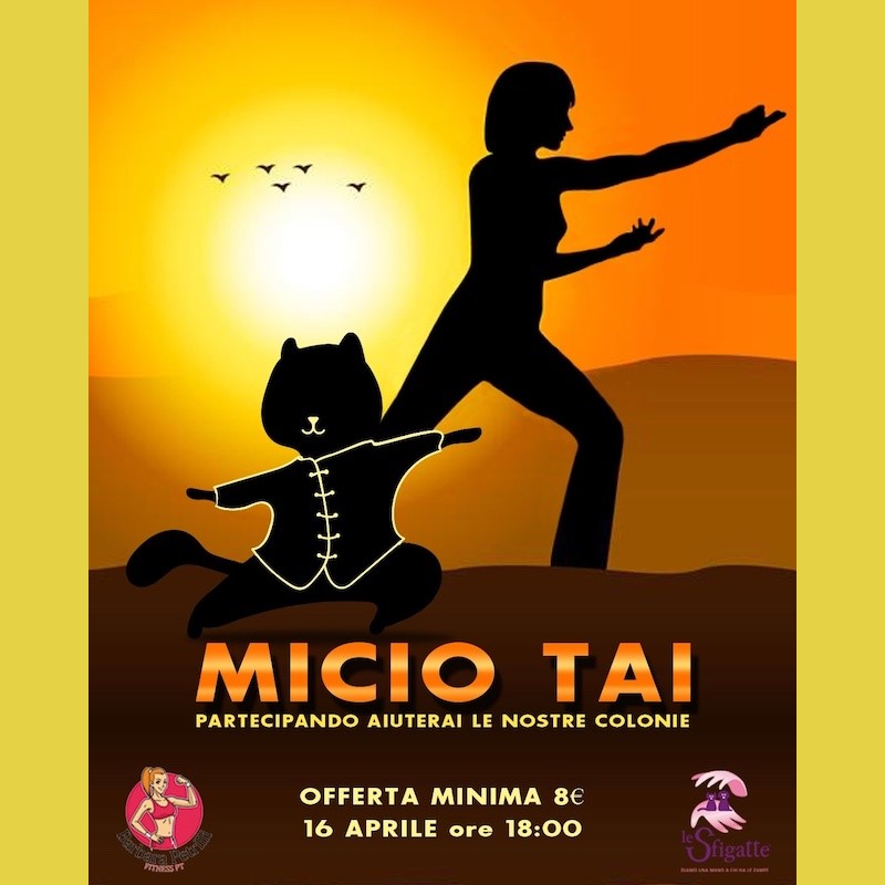 Micio TAI - Associazione Le Sfigatte