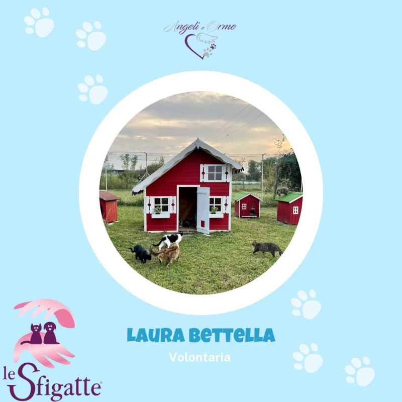 Saremo in onda giovedì 28 settembre alle ore 21 su Telegranda! - Associazione Le Sfigatte