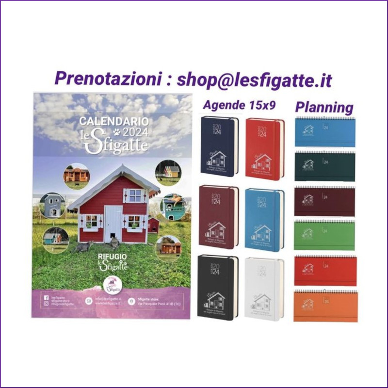 30.000 € da saldare: siamo in ginocchio, ma con l operazione azzera debiti, ci potete risollevare! - Associazione Le Sfigatte