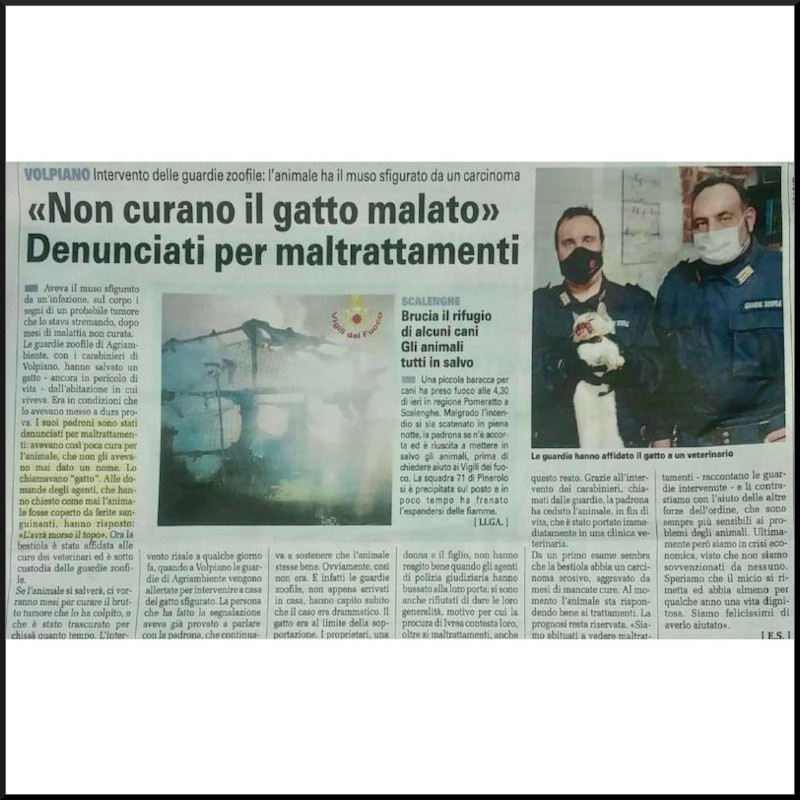 Cookie, la forza della vita - Associazione Le Sfigatte