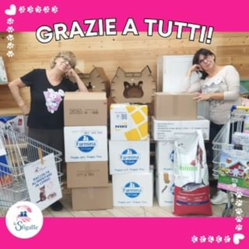 Questo è il risultato della raccolta pappe di sabato scorso! - Associazione Le Sfigatte