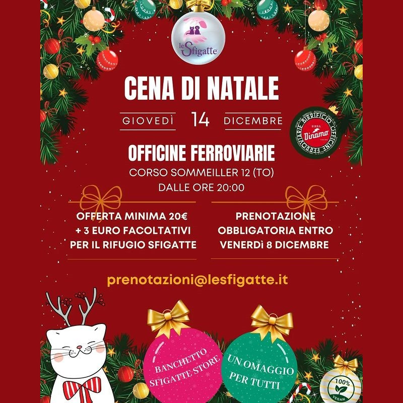 Cena di Natale Sfigatte: un treno da non perdere! - Associazione Le Sfigatte