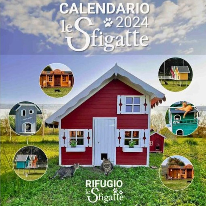 Ci aiutate nell’operazione AZZERADEBITI comprando i nostri calendari? - Associazione Le Sfigatte