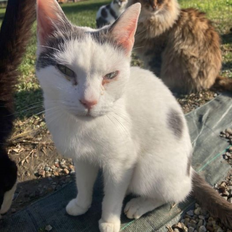 Bella si sta riprendendo - Associazione Le Sfigatte