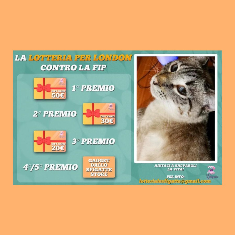 Lotteria per London contro la FIP! - Associazione Le Sfigatte