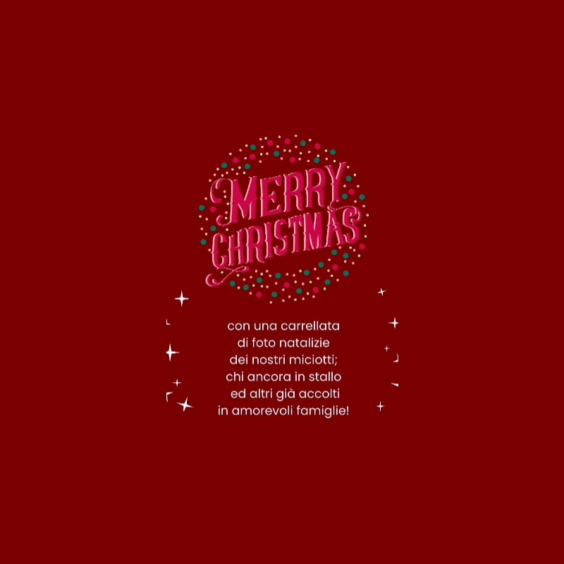 Buon Natale! - Associazione Le Sfigatte