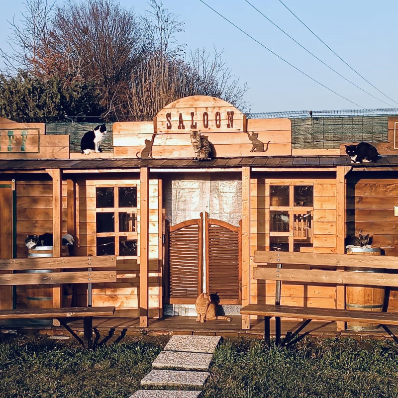 Auguri di buon anno! - Associazione Le Sfigatte