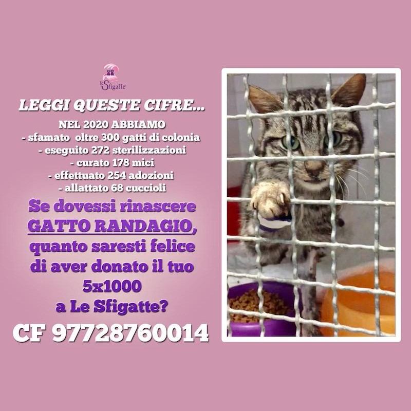 5x1000 perché destinarlo a Le Sfigatte? - Associazione Le Sfigatte