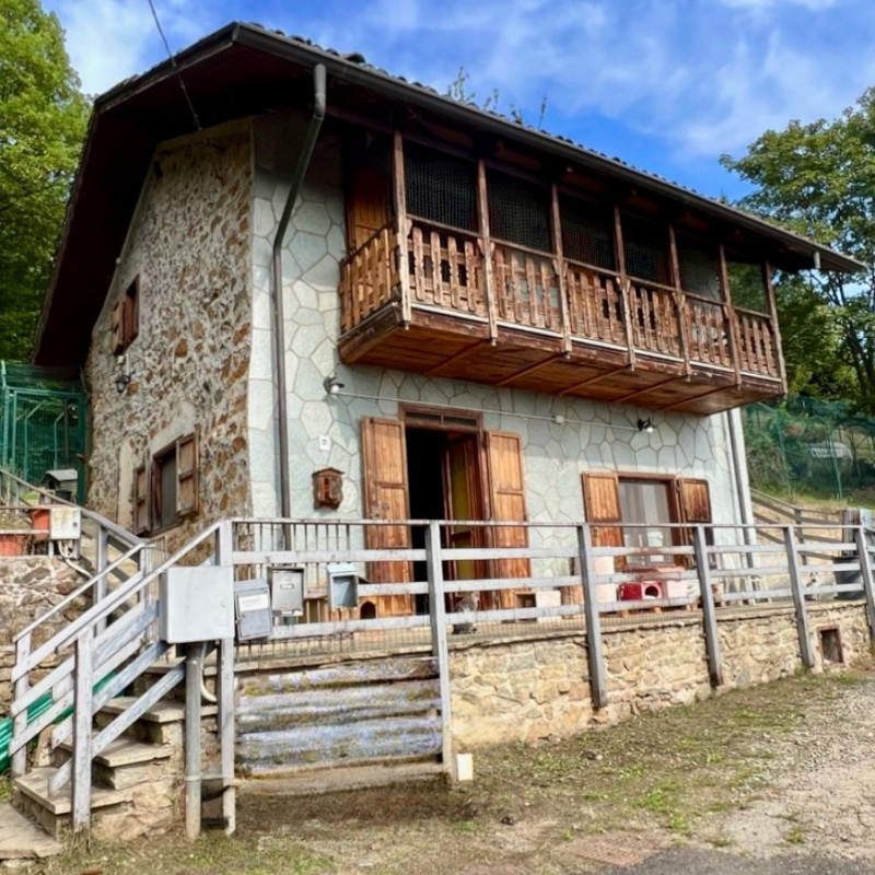 In memoria di Valter e della sua missione: cerchiamo volontari per i suoi gatti in Valdellatorre - Associazione Le Sfigatte