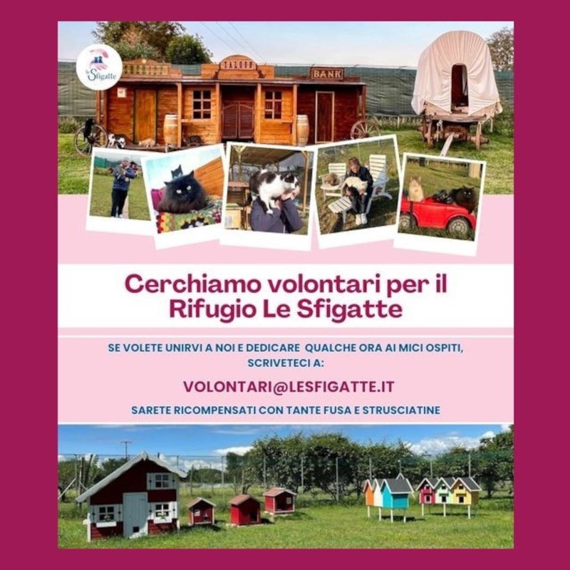 Cerchiamo volontari, vuoi unirti a noi? - Associazione Le Sfigatte