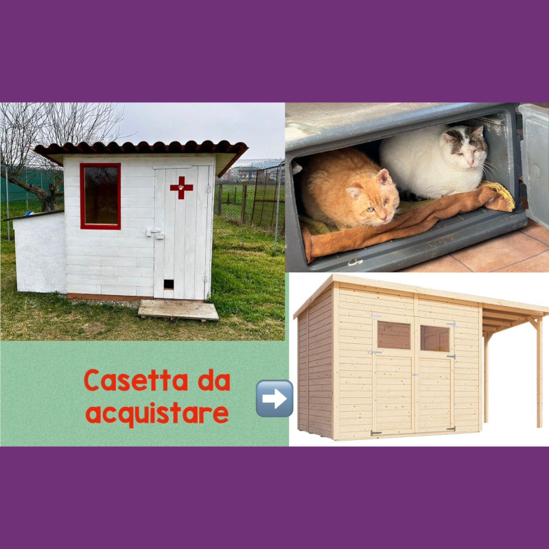 Ci date una zampa per acquistare una nuova casetta al rifugio Le Sfigatte? - Associazione Le Sfigatte