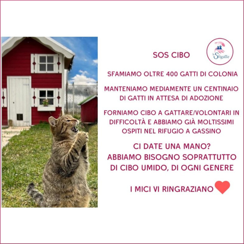 SOS cibo! - Associazione Le Sfigatte