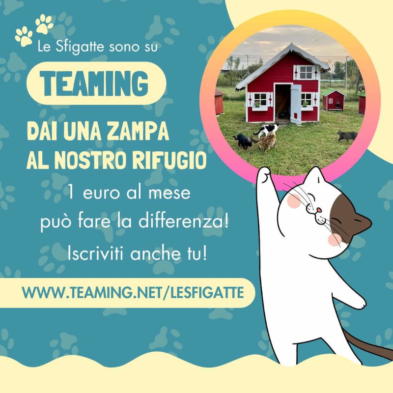 Conoscete Teaming? - Associazione Le Sfigatte