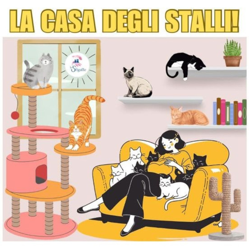 Progetto "La casa degli stalli": abbiamo bisogno della vostra collaborazione - Associazione Le Sfigatte