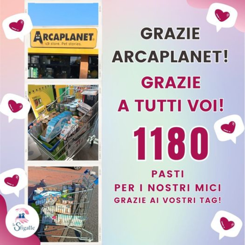 1.180 volte GRAZIE!!! - Associazione Le Sfigatte
