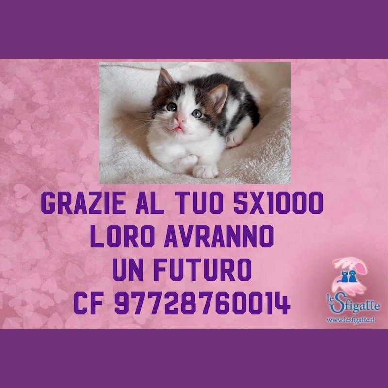 E ogni vita lo sa che rinascerà - Associazione Le Sfigatte