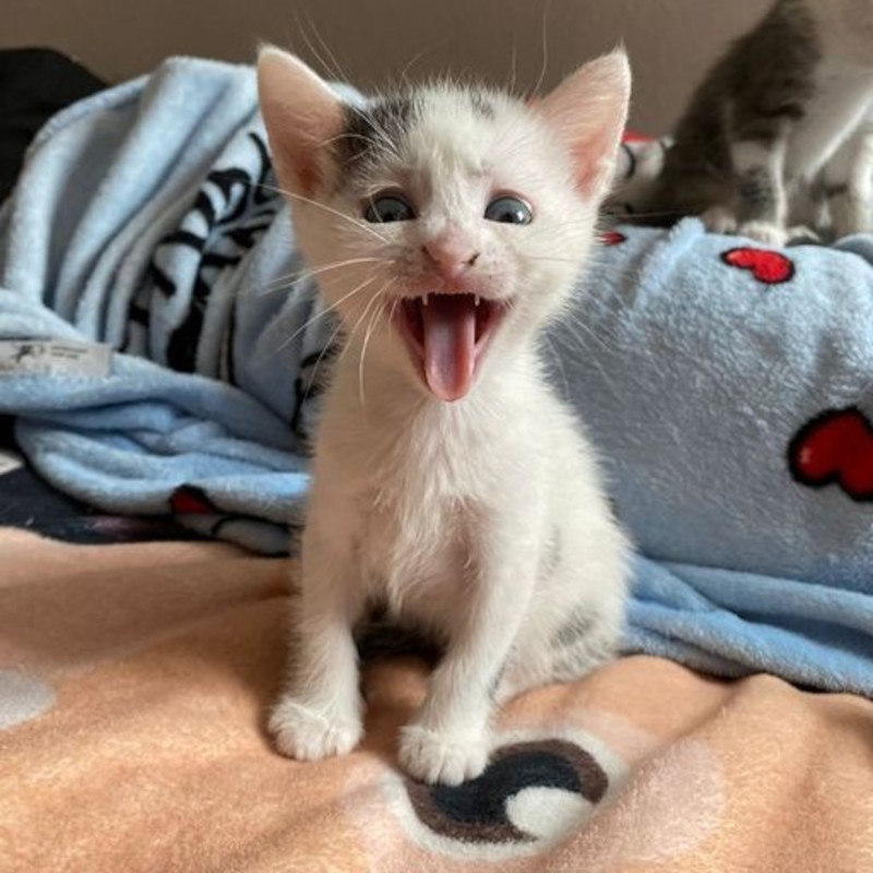 Che fame! - Associazione Le Sfigatte