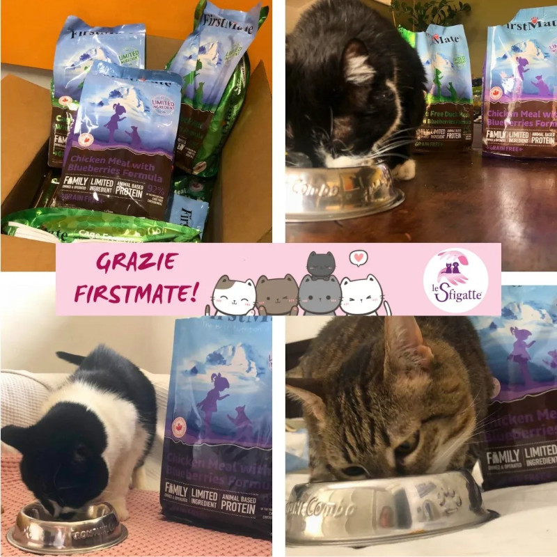 Grazie a FistMate Italia! - Associazione Le Sfigatte