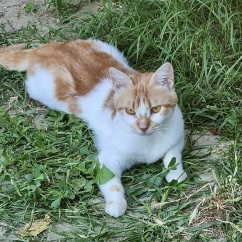 Carolina, l'empatia non ha confini: l'importanza del 5x1000 - Associazione Le Sfigatte