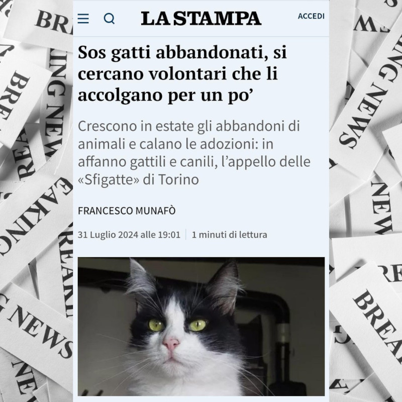 Anche La Stampa ci aiuta a diffondere il nostro grido di aiuto! - Associazione Le Sfigatte