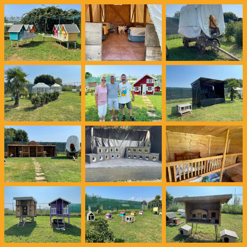 Felici per il sostegno del sindaco di Gassino e gli apprezzamenti al nostro rifugio! - Associazione Le Sfigatte