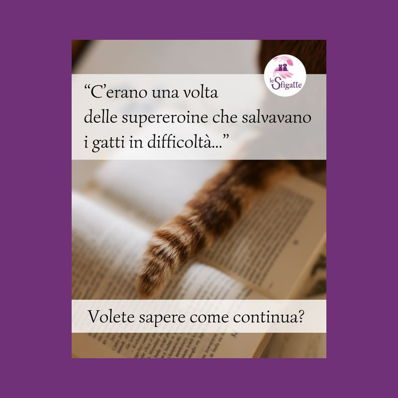 In arrivo.. il primo libro Sfigatte! - Associazione Le Sfigatte