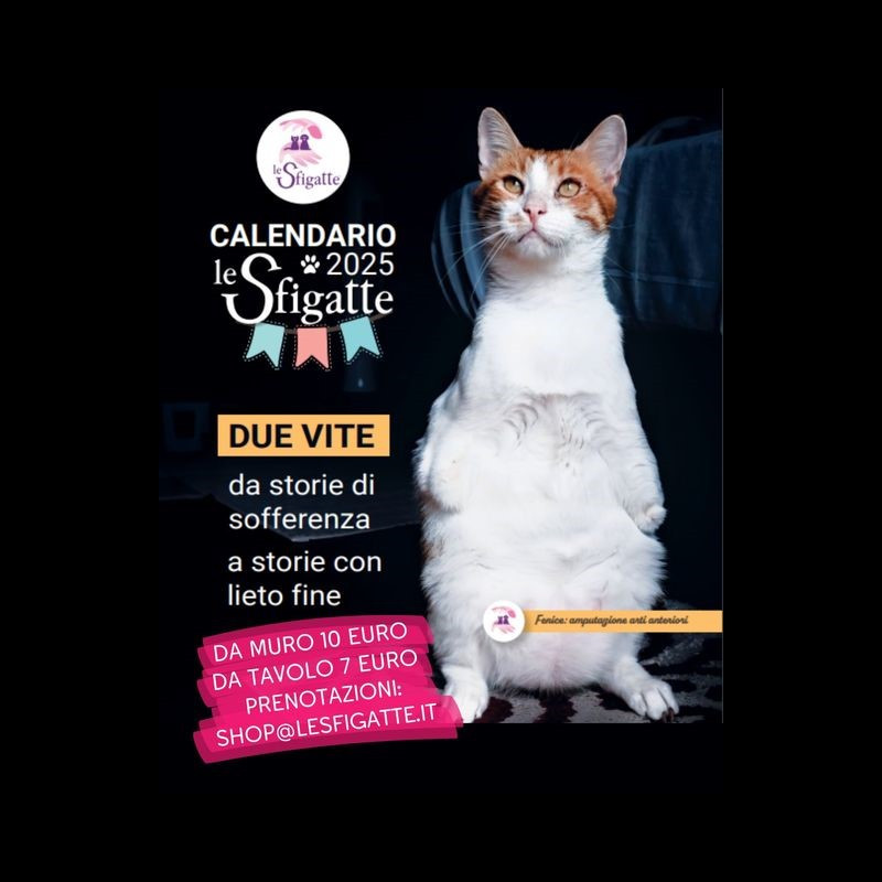Il calendario Sfigatte 2025 è arrivato! - Associazione Le Sfigatte