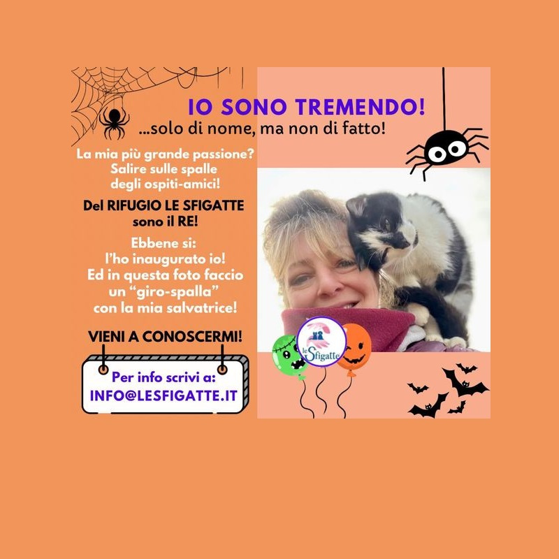 Oggi festeggiamo il nostro secondo anniversario! - Associazione Le Sfigatte