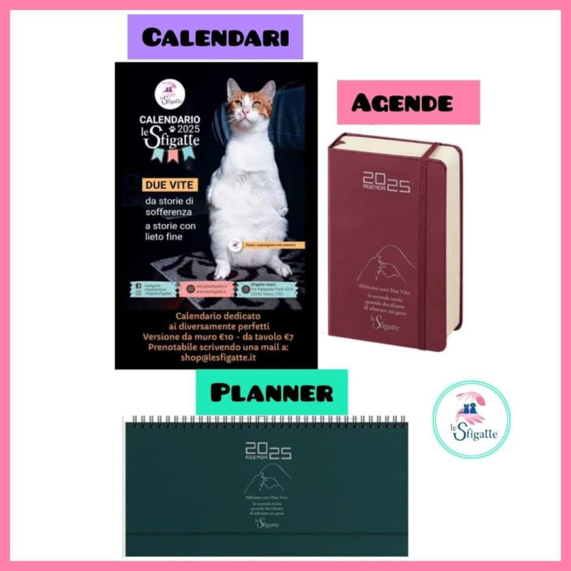 Calendario 2025: non è un semplice acquisto ma un aiuto fondamentale per risollevarci da debiti pesanti di oltre 30 mila euro - Associazione Le Sfigatte