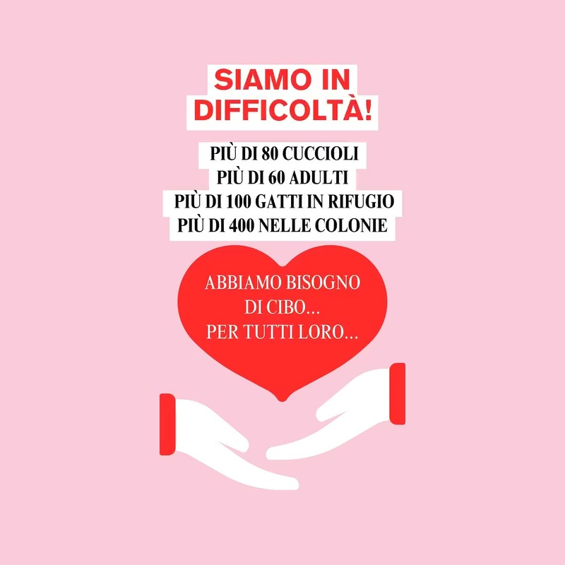 Siamo in difficoltà - Associazione Le Sfigatte