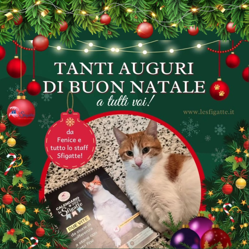 Le Sfigatte augurano a tutti Buon Natale! - Associazione Le Sfigatte