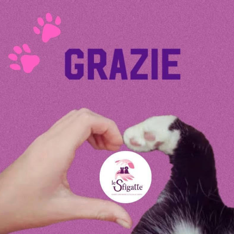 Grazie per il vostro sostegno. Vi vogliamo bene - Associazione Le Sfigatte