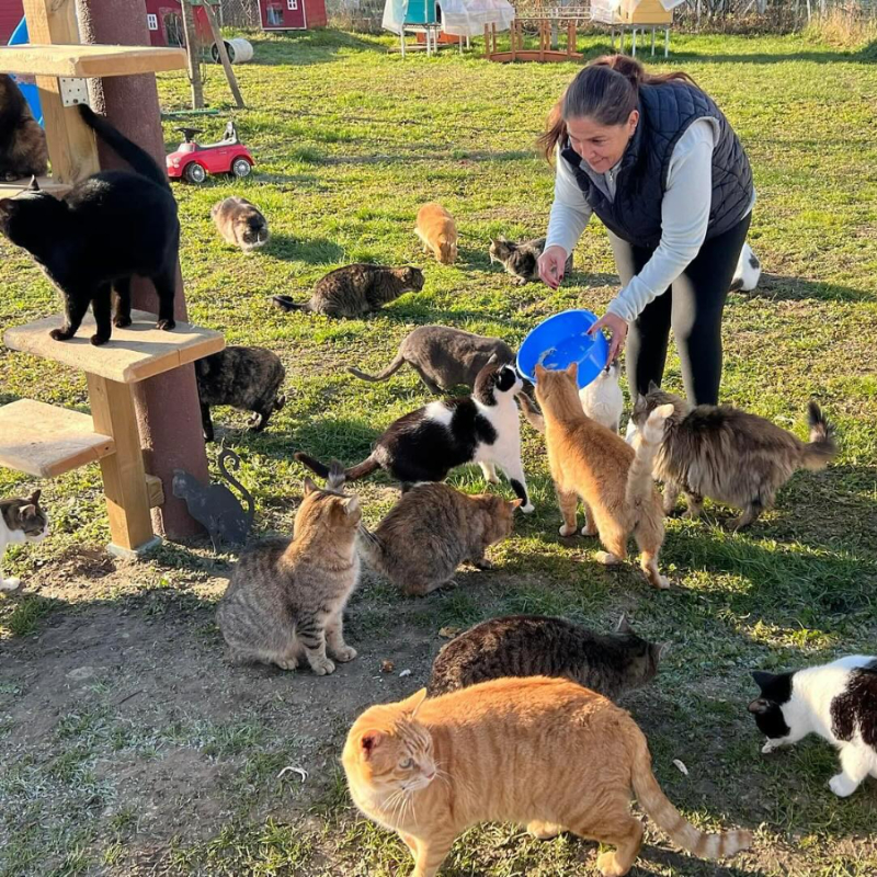 Cerchiamo volontari da aggiungere al nostro Team Sfigatte! - Associazione Le Sfigatte