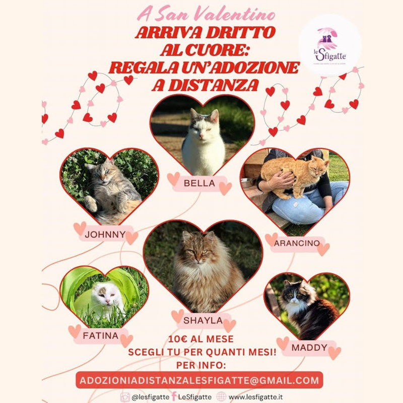 San Valentino è alle porte: regala amore a distanza! - Associazione Le Sfigatte