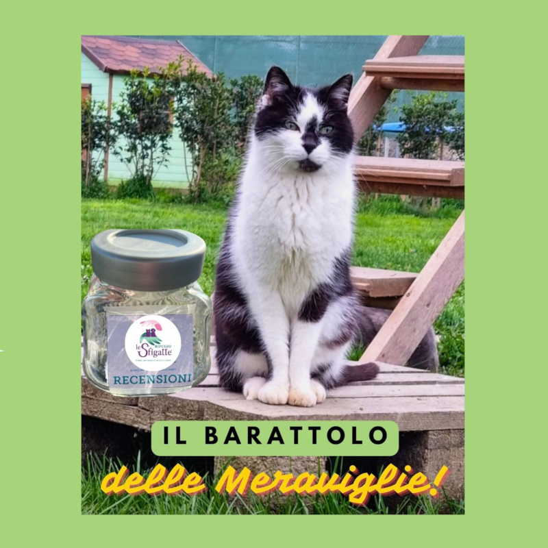 Il Barattolo delle Meraviglie! - Associazione Le Sfigatte