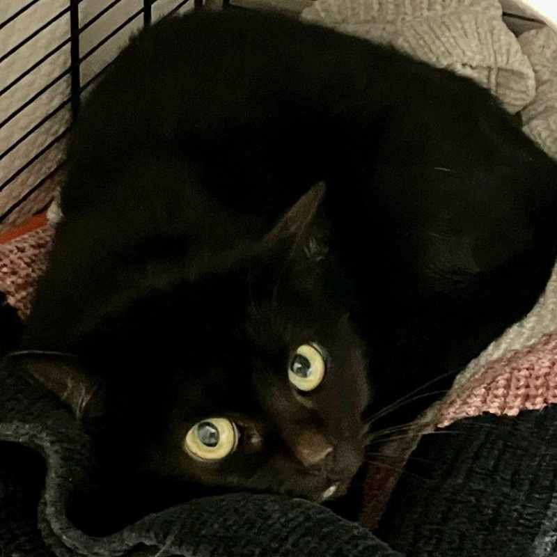 Valmora e la sua incredibile storia - Associazione Le Sfigatte