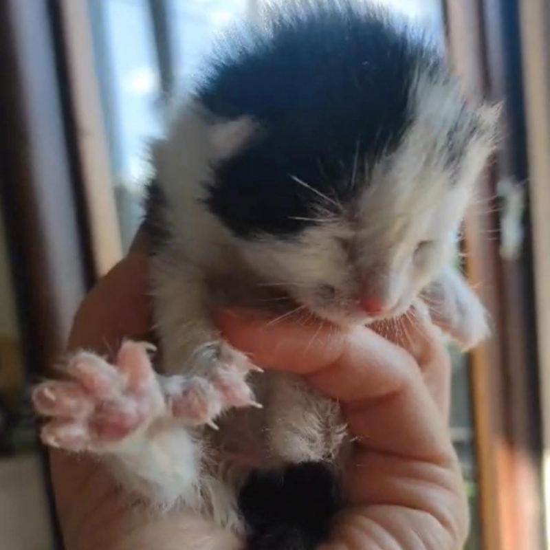 Lidia, una vita appena iniziata, salvata grazie ad una rete di amore e di impegno - Associazione Le Sfigatte