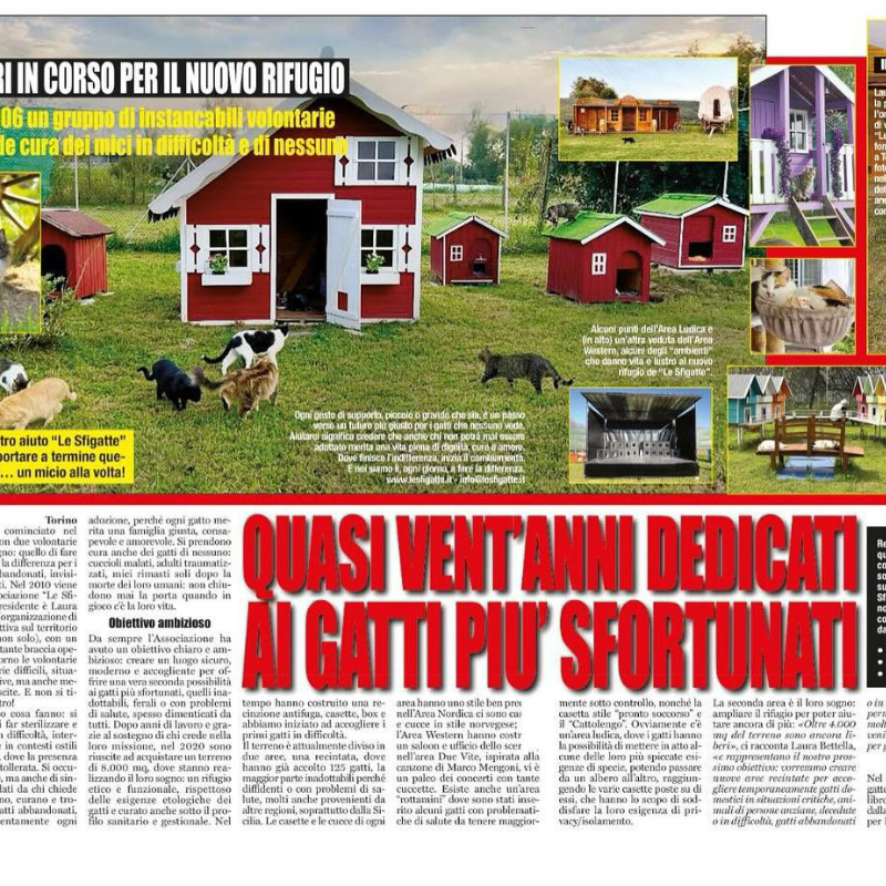 Parlano di noi su Cronaca Vera! - Associazione Le Sfigatte