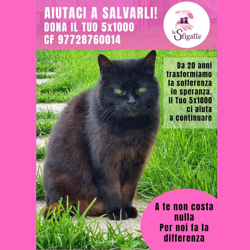 Ho 16 anni, zero denti e molto da dire (soprattutto sul 5x1000) - Associazione Le Sfigatte