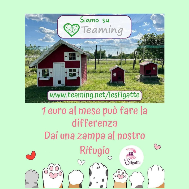 Conoscete Teaming? - Associazione Le Sfigatte